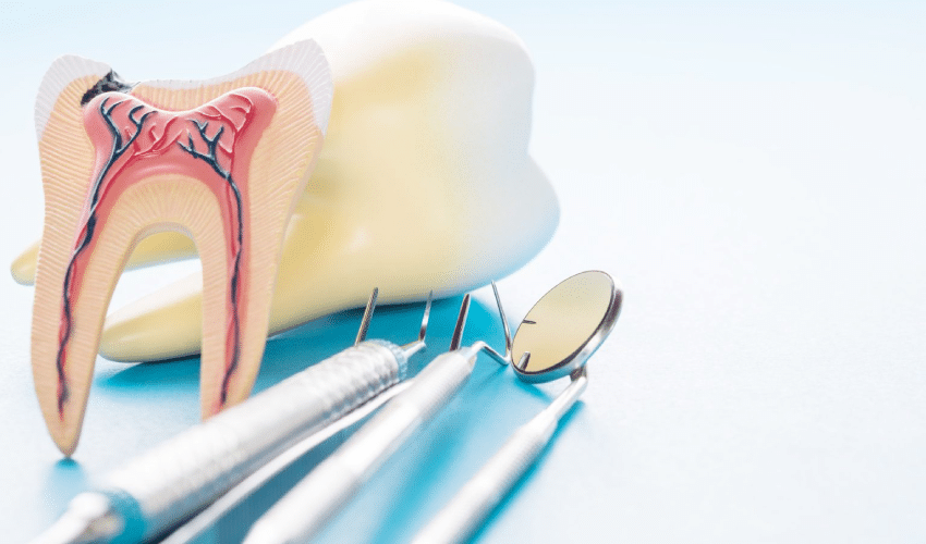 The role of endodontics in dental care